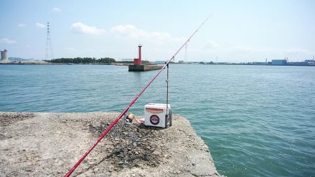 高砂港もピンギスモードか!