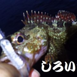 ガシリングになってしもたぁ～。