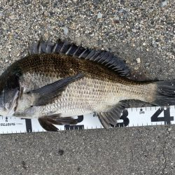 イチノ兄弟、釣果！