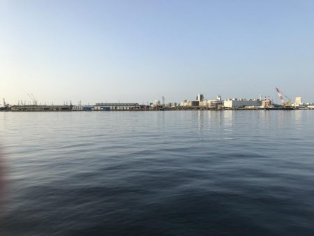 サバが湧いて…。