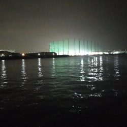 小さいですがやっと釣れた。