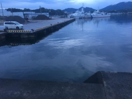 アジ7匹、コサバ25匹