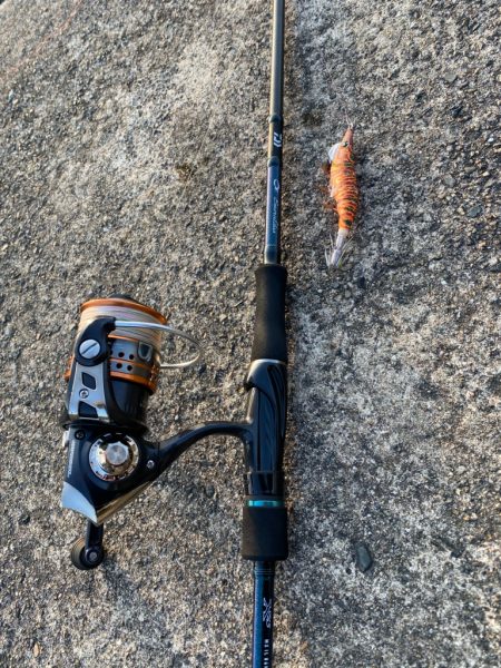 今年の初釣