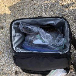 アオリ狙うもコウイカばかり