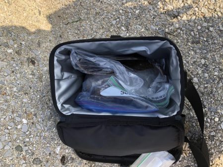 アオリ狙うもコウイカばかり