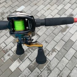 コスモでタコ釣りやってみた2