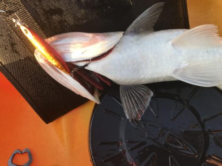 自己ベストの日