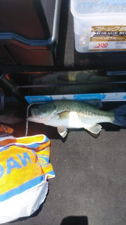 ひさびさの琵琶湖