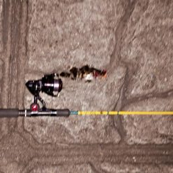 チニングリベンジ