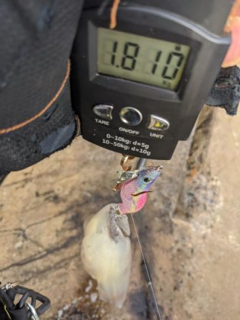 今季の記録更新