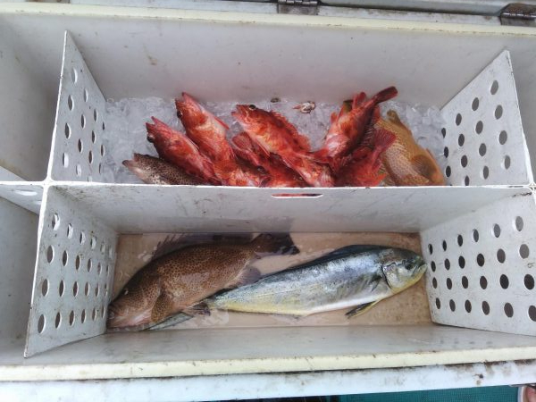 ボチボチやな！