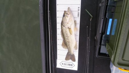 ポストスポーン絶好調