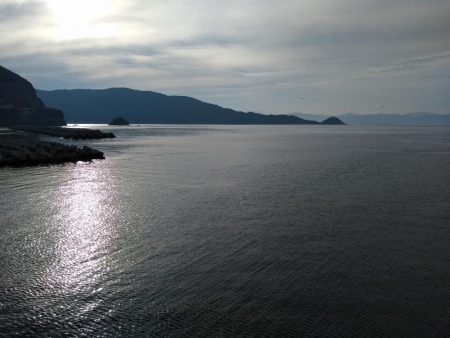 デカイカは見えただけ…