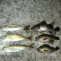 自粛解除を受けて