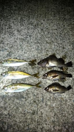 自粛解除を受けて