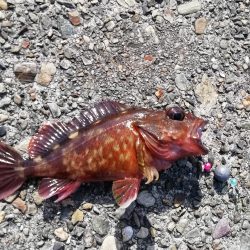 テトラで穴釣り