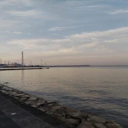 大塩海岸キスの引き釣り