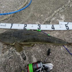 人生初マゴチはなかなかのサイズ!