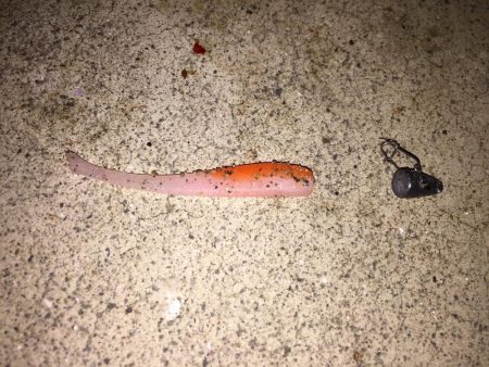 ランカーキビレ！