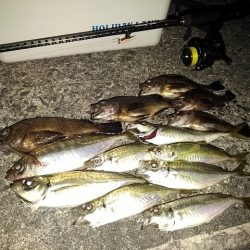 フロートゲーム～