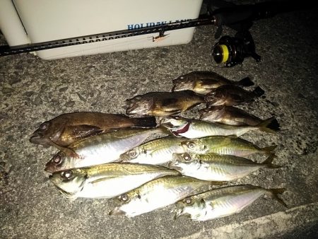 フロートゲーム～