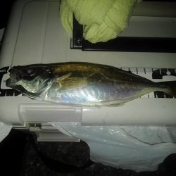 フロートゲーム