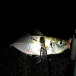 フロートゲーム