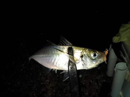 フロートゲーム