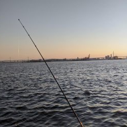 サバゲー　鯖は好調