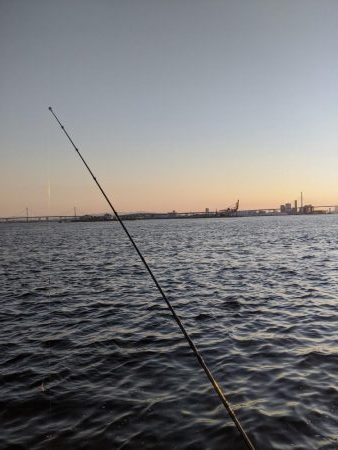 サバゲー　鯖は好調