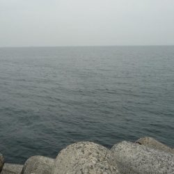 人工島は人がいっぱい