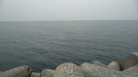 人工島は人がいっぱい