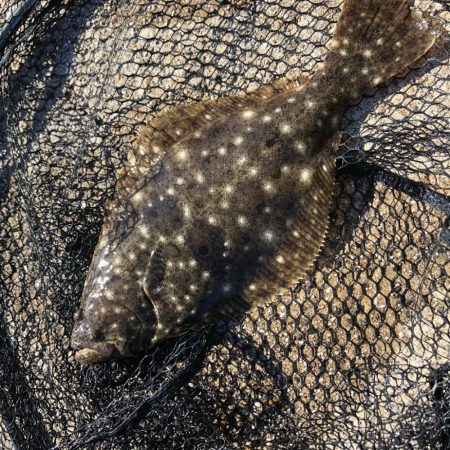 エギングタックル　ジグヘッド&ワー…