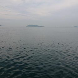 久々にエギンGuー