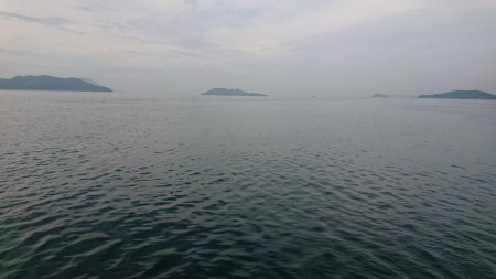 久々にエギンGuー