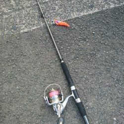 朝練釣行!!平日の朝マズメに堤防タコングでゲットw