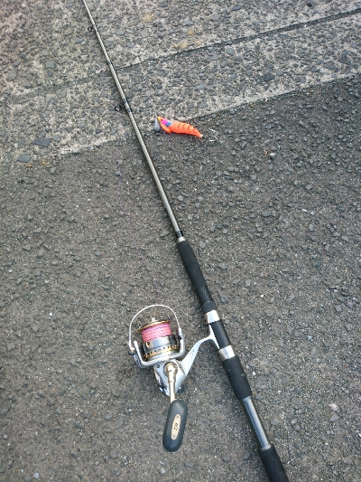 朝練釣行!!平日の朝マズメに堤防タコングでゲットw