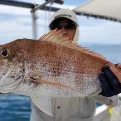 遊漁船 ニライカナイ 釣果