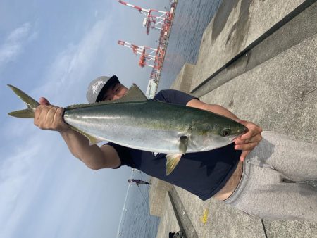 サワラ釣れてます!!