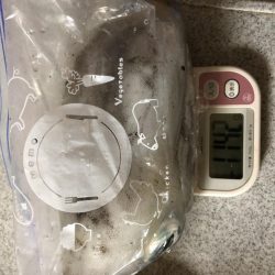 やっと春がきた！