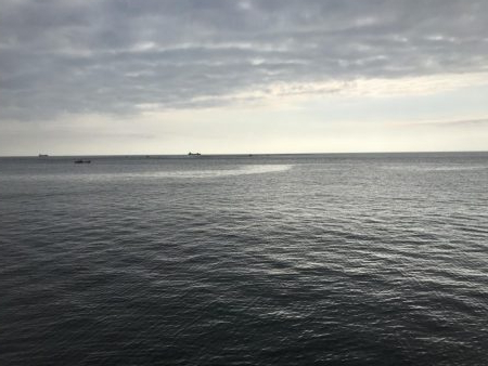 初の三重でアジ、サバ