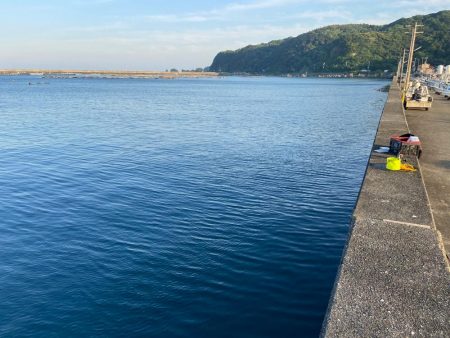 小さな青物回ってます