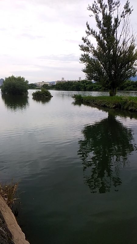 スモールマウス