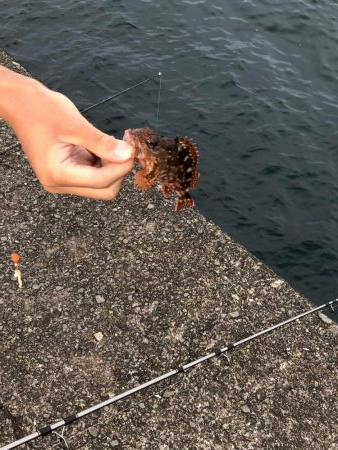 ぼちぼち当たりあり。