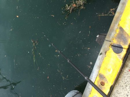 サビキアジ釣りサイズアップ