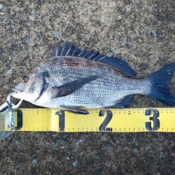 久々の複数枚 ~さざなみ公園~