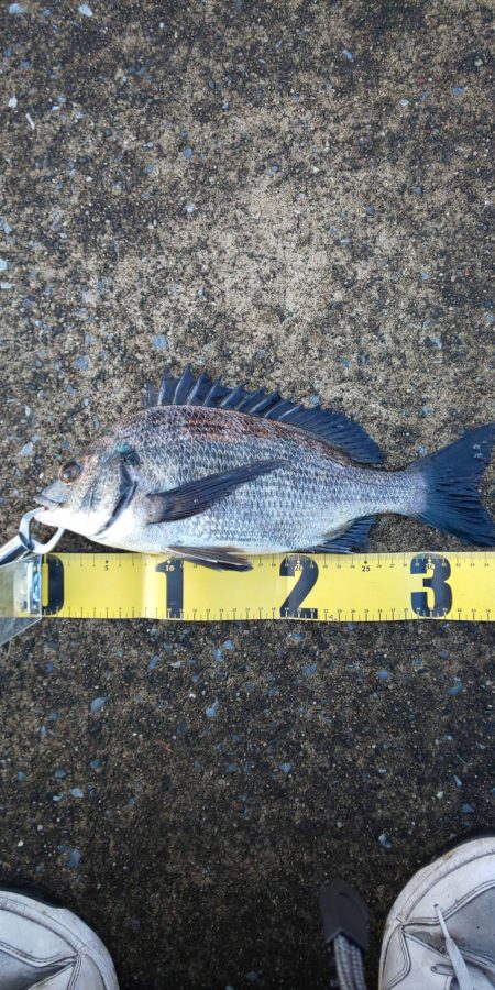 久々の複数枚 ~さざなみ公園~