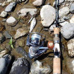 ちびっこ入れ食い！！