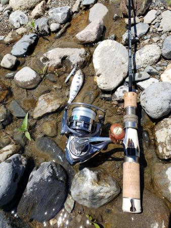 ちびっこ入れ食い！！