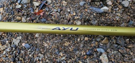 今年はよく追う